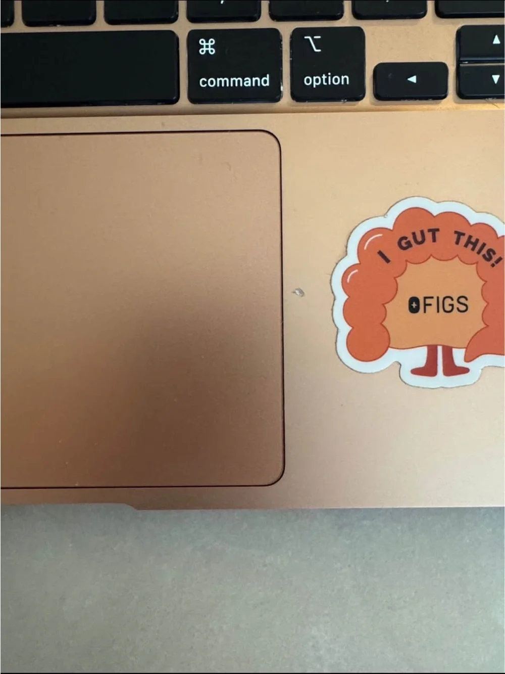 Apple MacBook Air 13-Inch